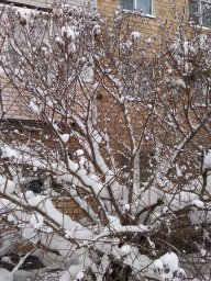 2026 год настоящая зима январь