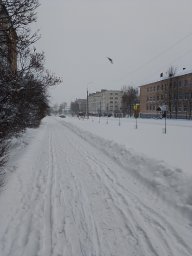 красота зимы